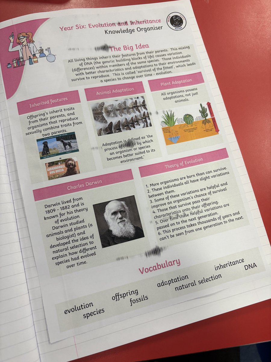MasefieldCP's tweet image. Year 6 have started their Science on Evolution #learningwalk #believeachievesucceed