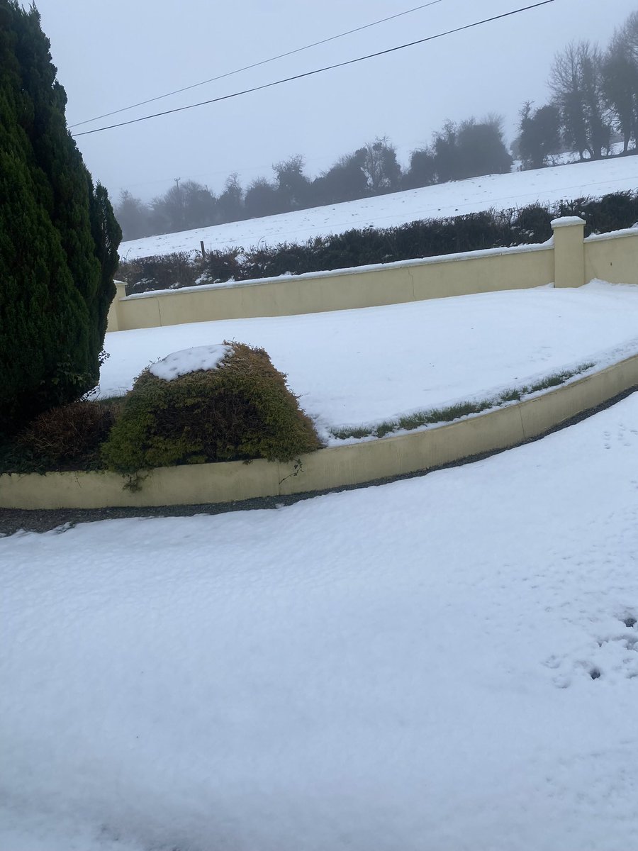 Patiently waiting on the thaw here in #northcork - after 6 days of snow. What a start to 2025.