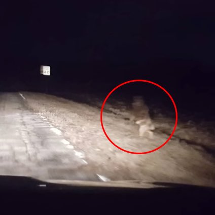 เมืองนึงในอเมริกาเกิดคดีสยองขวัญที่ทำให้ชาวเมืองไม่กล้าออกจากบ้านตอนกลางคืนอยู่ 2 ปีเต็ม เมื่อมีผู้หญิงคนนึงขับรถไปตอนกลางคืนบนถนนสายเปลี่ยว แต่แล้วเธอดันได้กลิ่นเนื้อเน่าโชยมาตามถนน (มีต่อ)