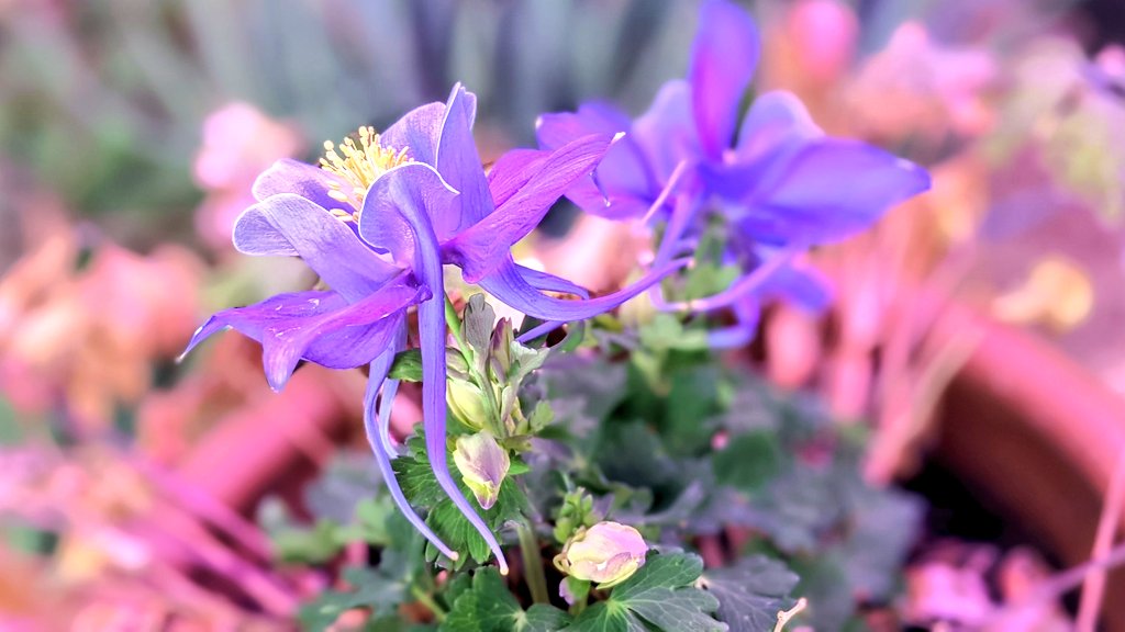 Reuben Garcia tweet media