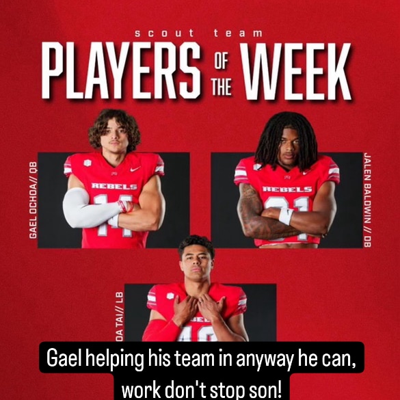 Omar Ochoa tweet media