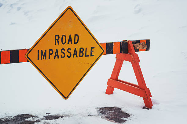 Colbert EMA tweet media