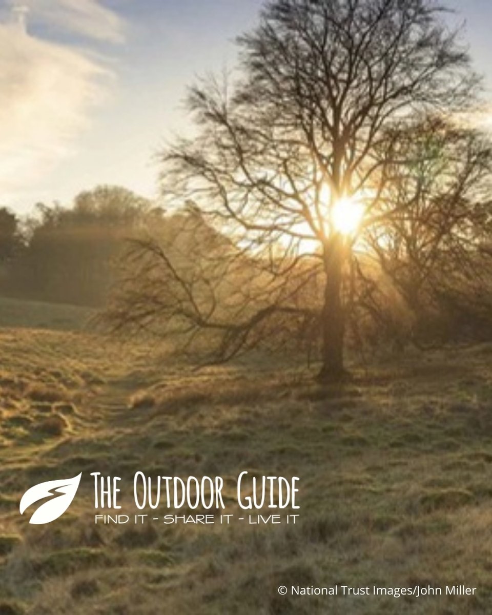 The Outdoor Guide tweet media