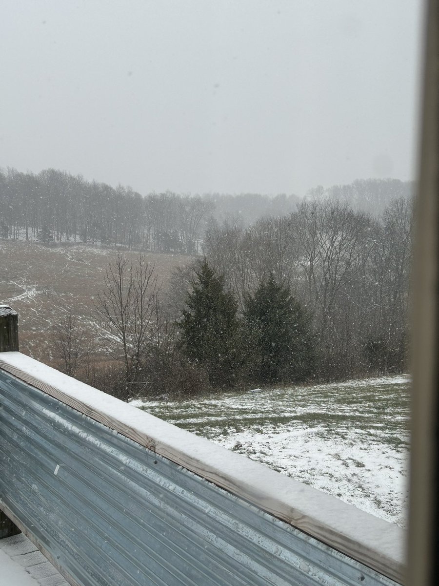 Dany Zuko tweet media