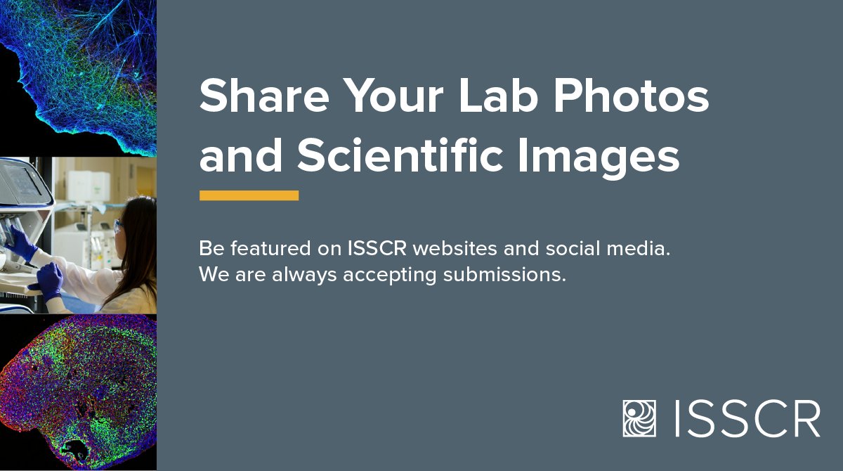 Share your #stemcell research with us! Submit lab pics &amp; scientific images for a chance to be featured on ISSCR social media channels. We are always accepting submissions. Learn more and submit today👉 form.jotform.com/232757310493154