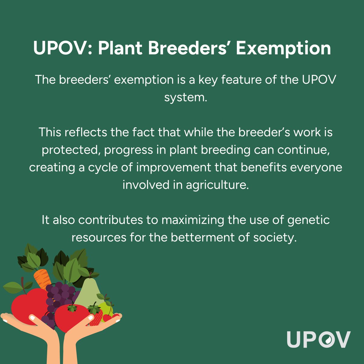 Did you know breeders can use protected plant varieties to develop new ones without asking for permission?  Swipe through these cards to learn more.  #NewPlantVarieties #UPOV