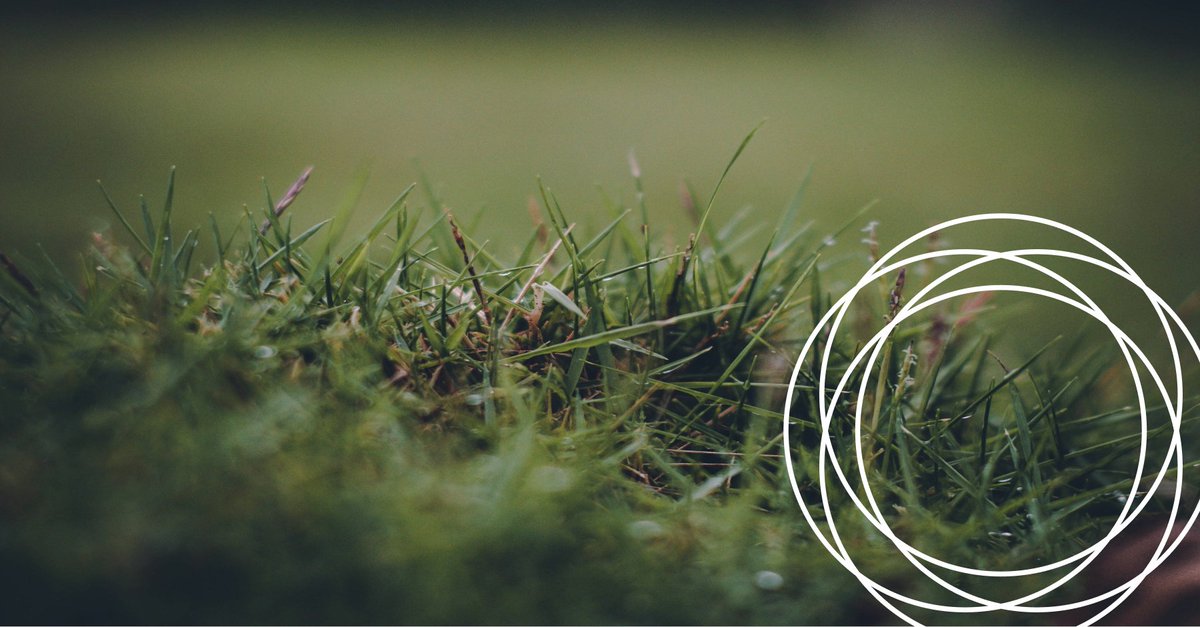 De ideale workspace is voor iedereen anders en kan ook gedurende de tijd veranderen. Nieuwe technieken zorgen ervoor dat de manier van werken steeds weer moet worden aangepast.

hubs.ly/Q0320RNH0