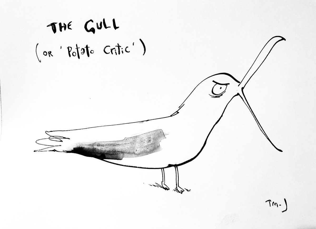 There’s a gull outside shouting for hot chips from passers by. I think that’s what’s happening, I could be wrong.