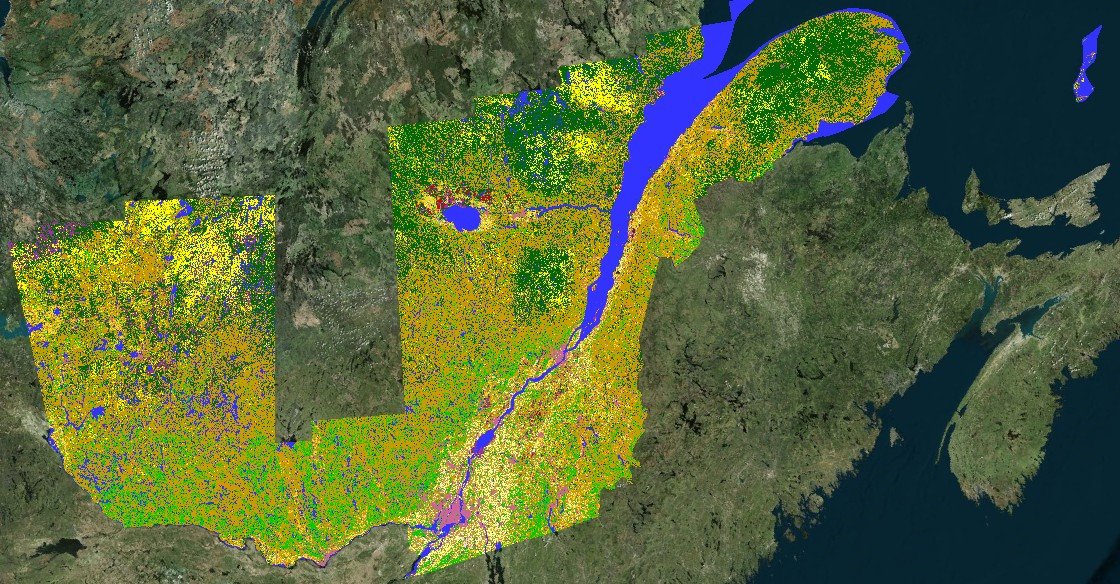 LeanderCampbell @bsky.social & @mas.to tweet media