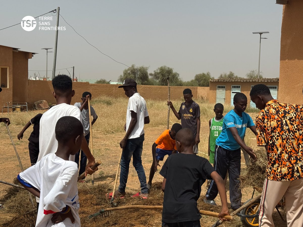 Terre Sans Frontières tweet media