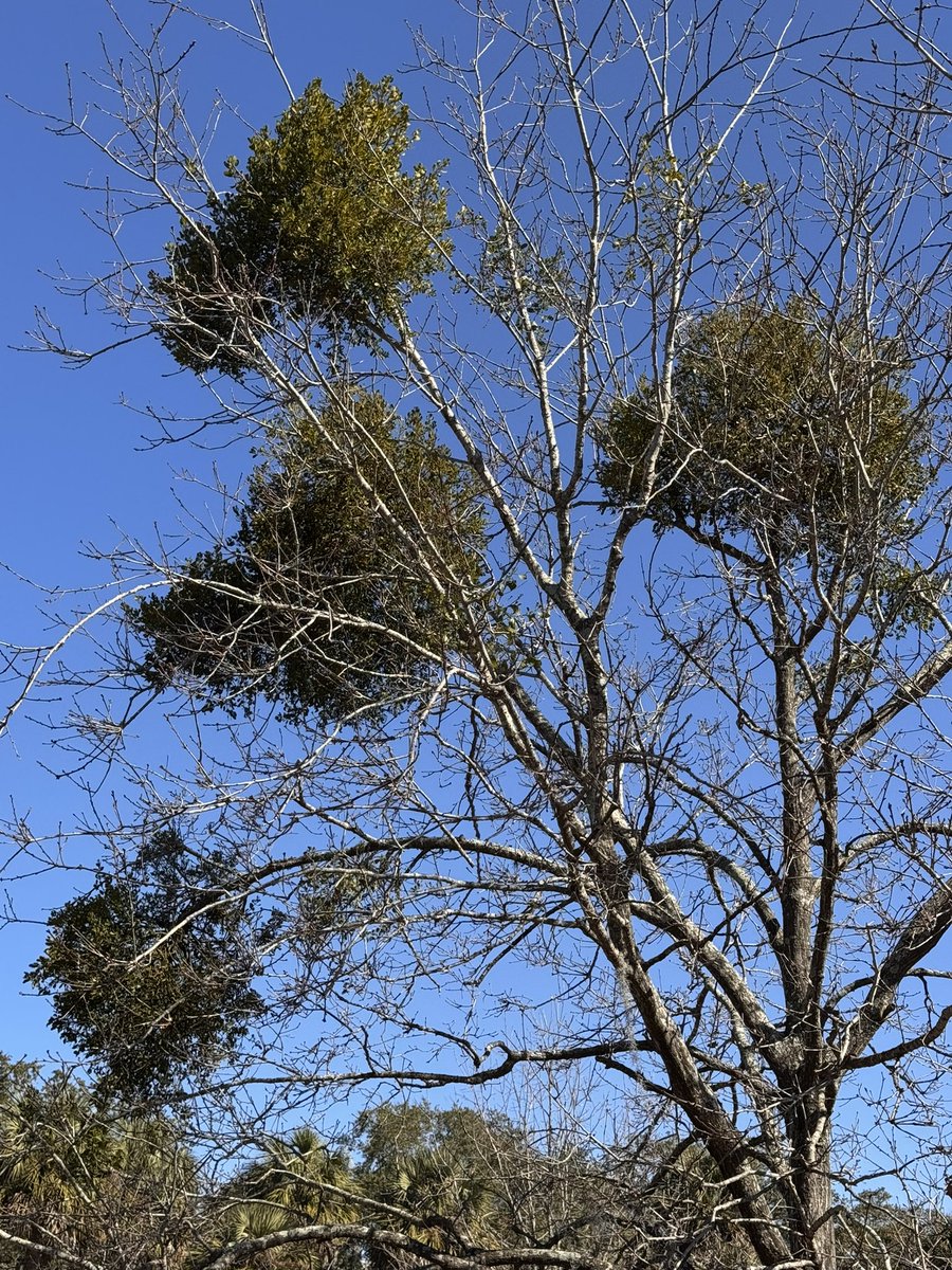 Ed Sikora tweet media