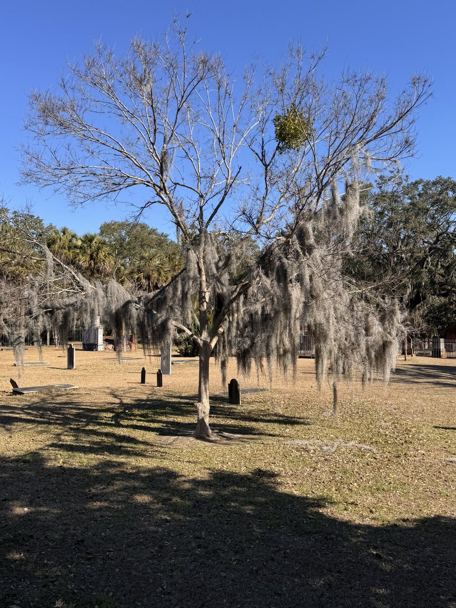 Ed Sikora tweet media