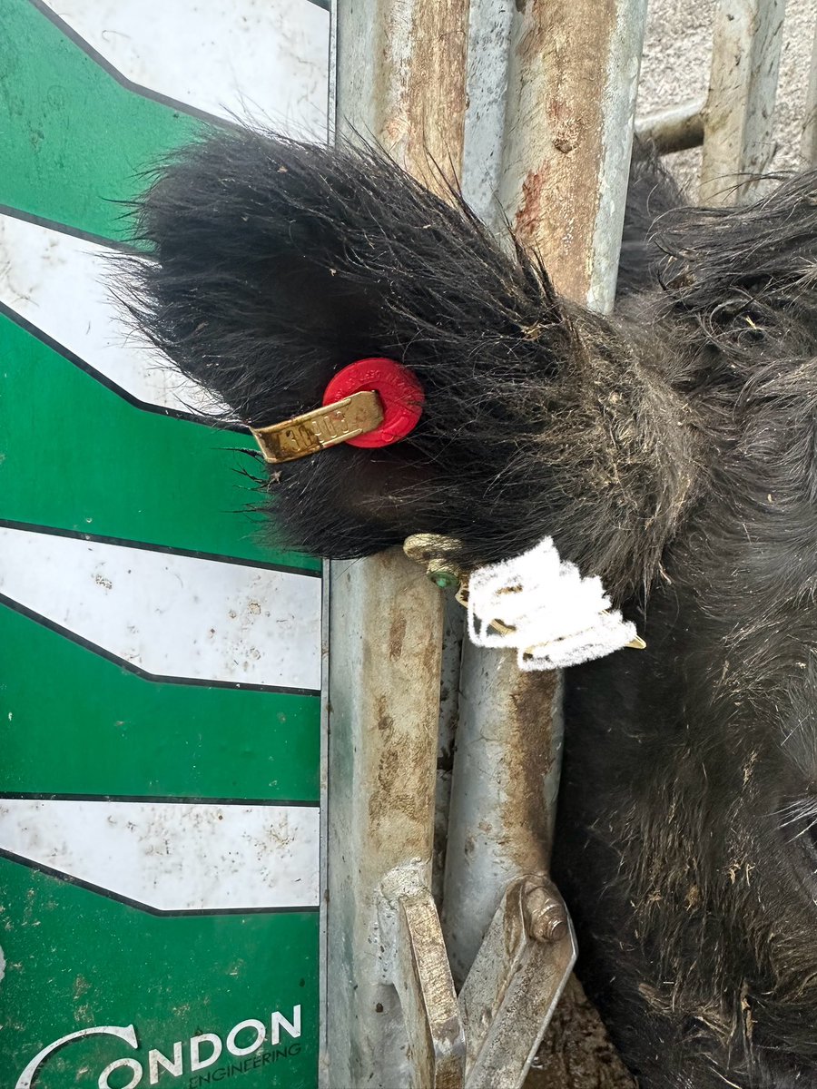 Christopher Cahill tweet media