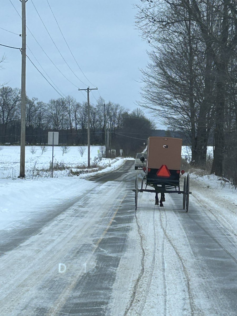 ScottPresler's tweet image. Meet Tricia.

This week, she registered 4 new Amish Pennsylvania voters (2 just turned 18 years old).

She also got 8 voters to commit to voting this November.

Can we give Tricia a round of applause for her continued work?

➡️ @traulbach

📍Armstrong, Crawford, Indiana, Mercer