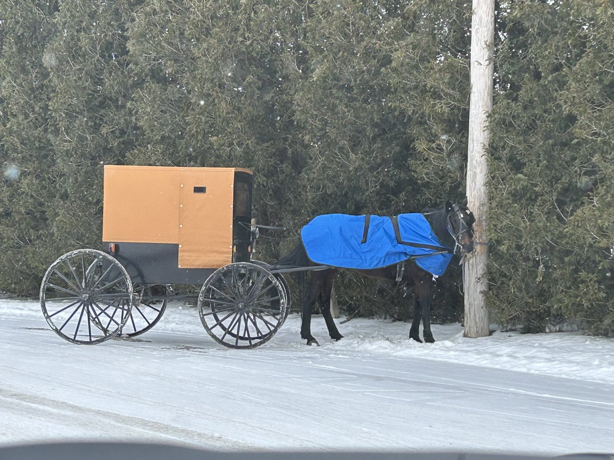 ScottPresler's tweet image. Meet Tricia.

This week, she registered 4 new Amish Pennsylvania voters (2 just turned 18 years old).

She also got 8 voters to commit to voting this November.

Can we give Tricia a round of applause for her continued work?

➡️ @traulbach

📍Armstrong, Crawford, Indiana, Mercer