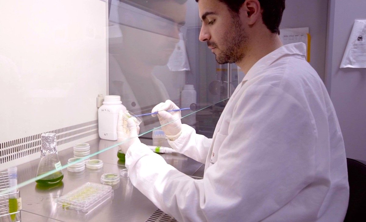 cragenomica's tweet photo. 🔬 Pursuing a postdoctorate is a pivotal step in solidifying your research career, allowing you to refine your expertise and make significant contributions to your field.

🌱 CRAG is offering opportunities through two postdoctoral fellowships 👇 https://t.co/3f5oekUhck