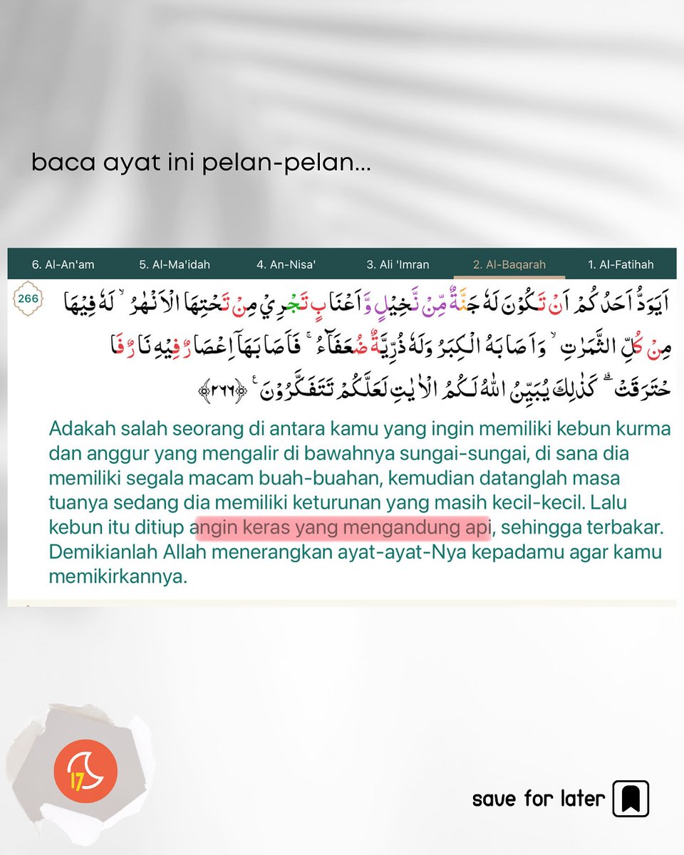 erlanishere's tweet image. 