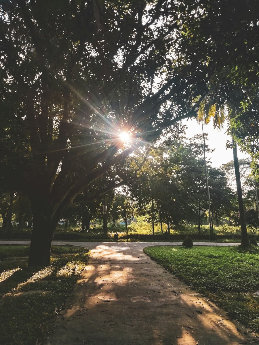 Woke up to the most beautiful sunny January morning!  Took a walk and the air was so crisp and fresh - it felt amazing.  Even though it's winter, there's something about those bright days that makes you feel so alive. ☀️ #JanuarySunshine #FreshAir #MorningWalk #HappyDay