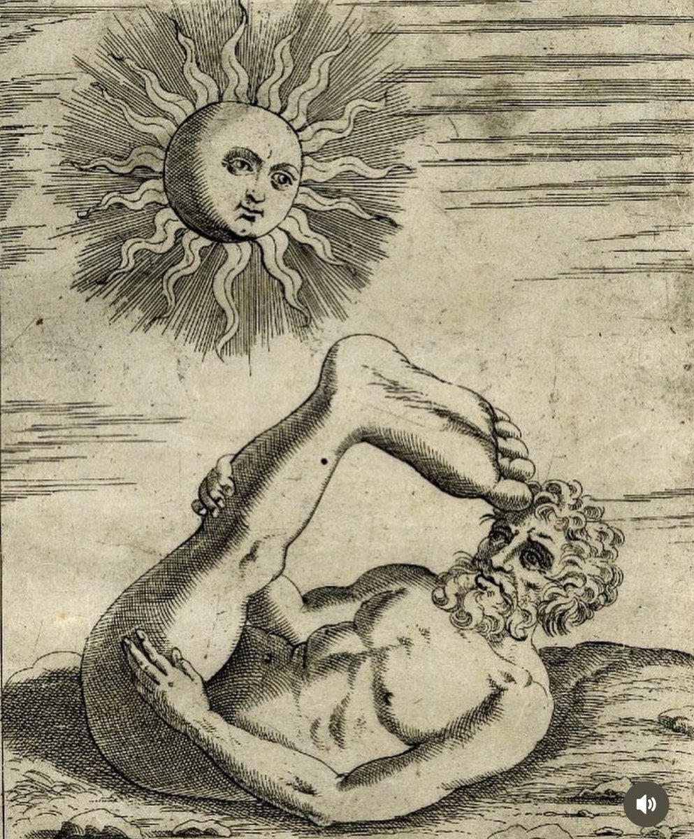 Carnivore Aurelius ©🥩 ☀️🦙 tweet media