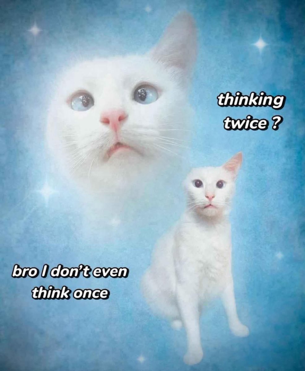 Evil Doge (@evilsatandoggo) on Twitter photo 