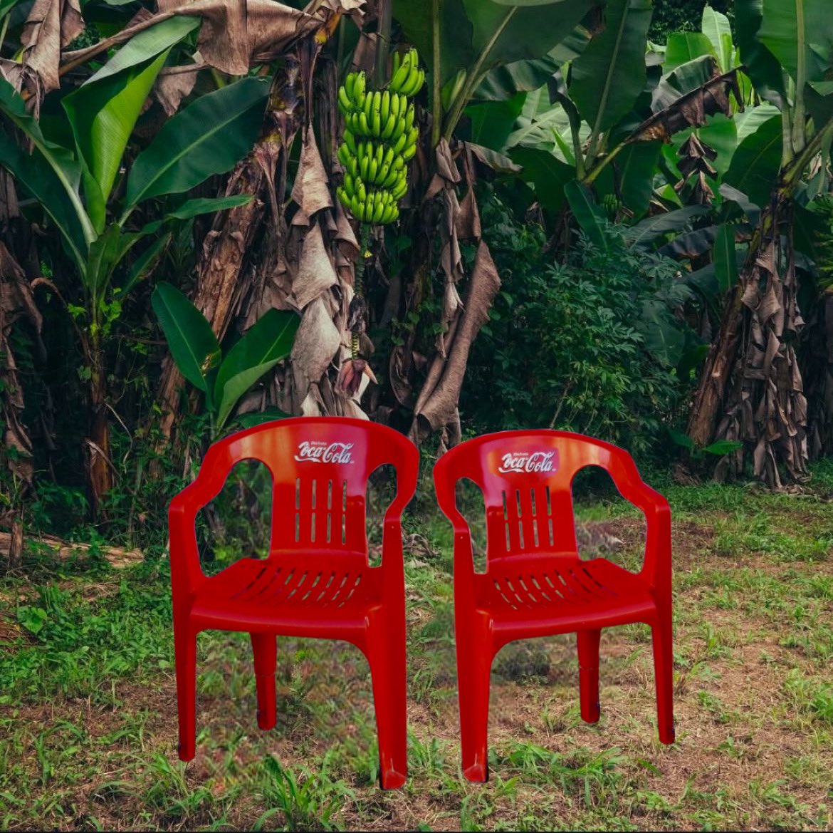 vaaleritaa's tweet image. te amamos conejitooo 🫶🏻🫶🏻