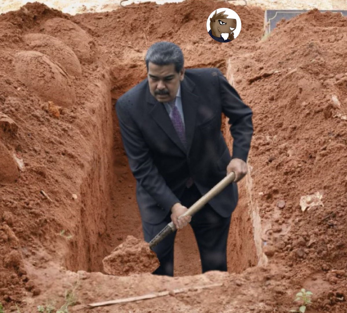 El Chigüire Tripolar tweet media