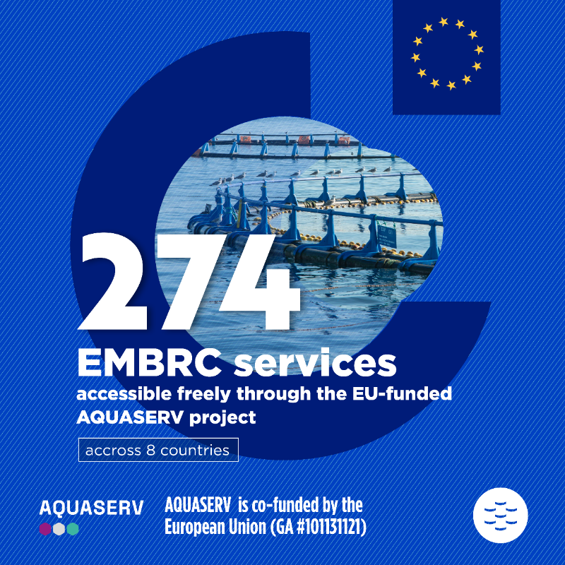 EMBRC_EU's tweet photo. #OpenCall I Access Aquaculture Services for Your Research

EMBRC’s @AQUASERV_RI EU project provides researchers fully funded access to 274 of EMBRC’s services for #Aquaculture research

👉 These services are also valuable for #Fisheries, ecological restoration &amp; the #BlueEconomy