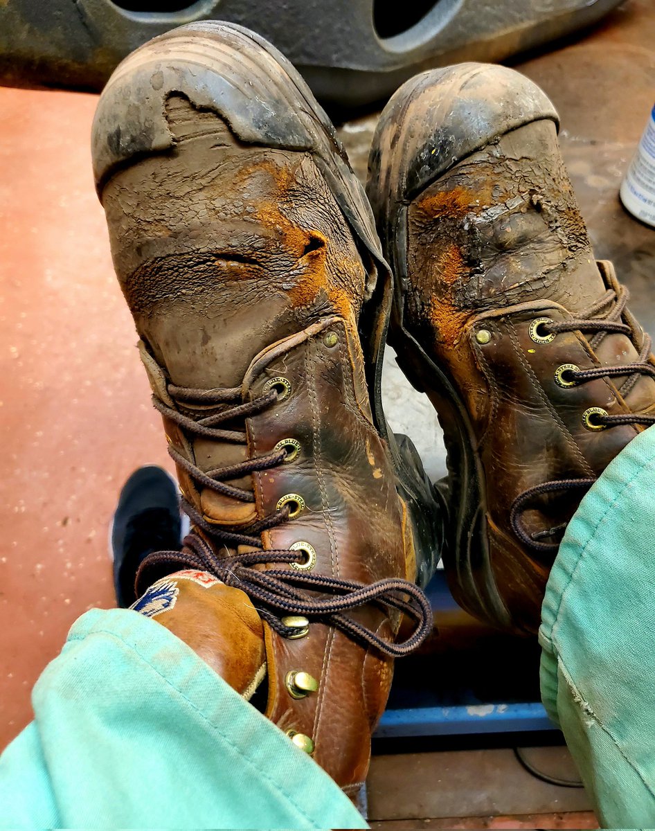 Medical Grower 420 🇺🇸 tweet media