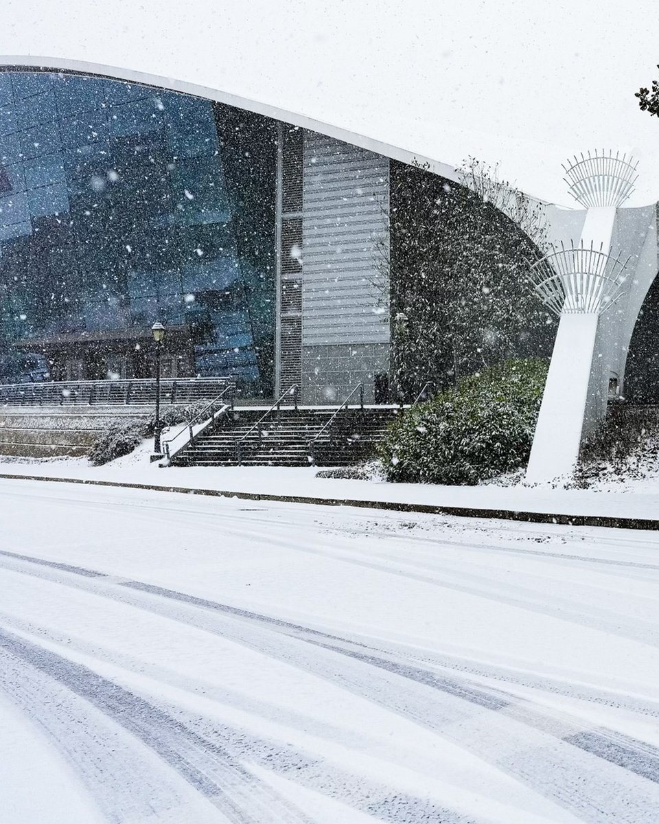 UGAAthletics's tweet photo. ❄️ Snow Day. ❄️

#GoDawgs https://t.co/XHMTfOeb3r