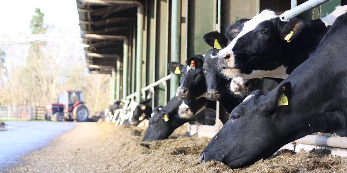 HADIFarm tweet media