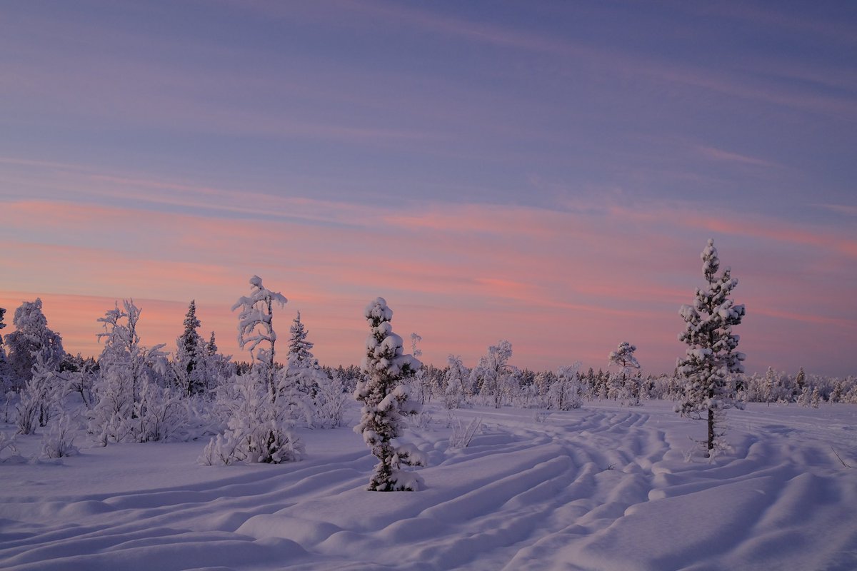 London_W4's tweet photo. In the two and a half hours between sunrise and sunset here in the Arctic circle, the light is the most beautiful I’ve ever seen. https://t.co/yMPVRxwRDC