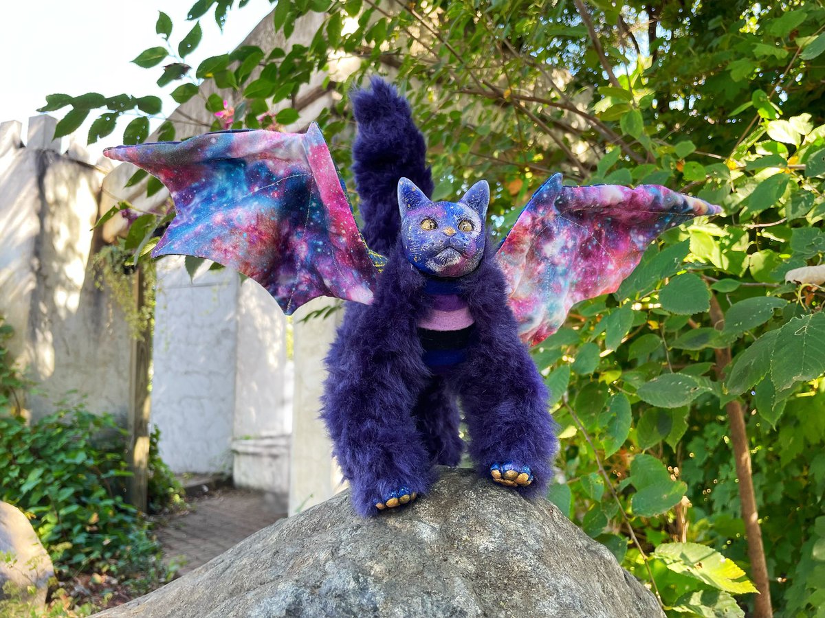 DapperRaptorSt's tweet photo. Happy belated new year! December got really chaotic for us between the holidays and everything else going on but we made it through! I’m hoping to try and get in a more regular posting schedule again! So to start here are some more kitty dragon pictures! https://t.co/RX7ucwCc8C