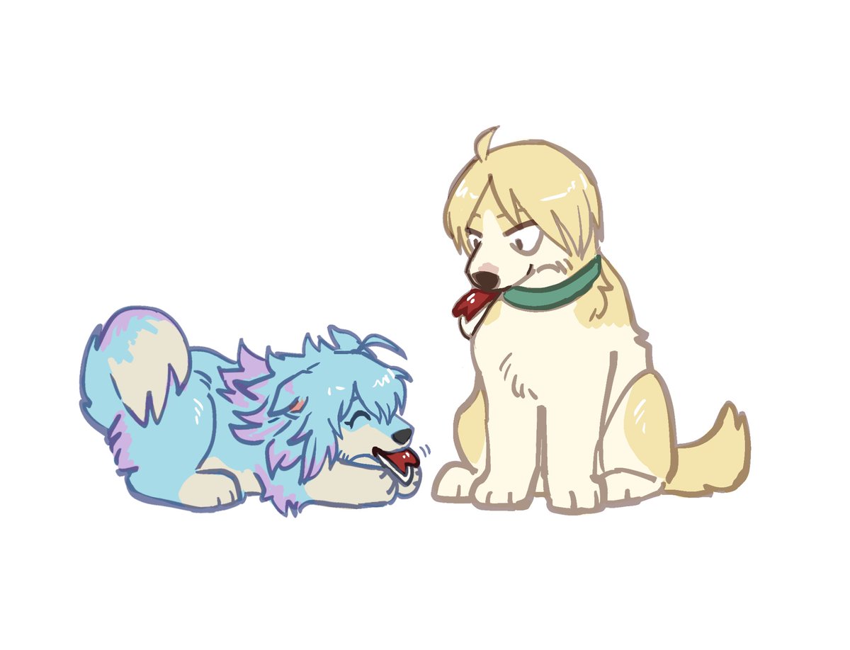 zencelot's tweet photo. #SakaDogs 🍎
#SAKAMOTODAYS https://t.co/lbI1hG8nHd