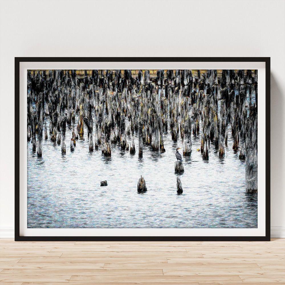 DebraMartz's tweet photo. "Well Worn Pilings Portland Maine"
Do you see the one bird?
Framed Print by Debra Martz https://t.co/GyTCBHs6OE
#Weathered #Worn #pilings #heap #many #Portland #Maine #harbor #water #photography #PhotographyIsArt #BuyIntoArt #AYearForArt #WallArt https://t.co/zMSzvqID7c