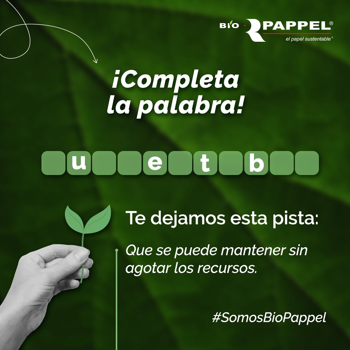 Bio Pappel tweet media
