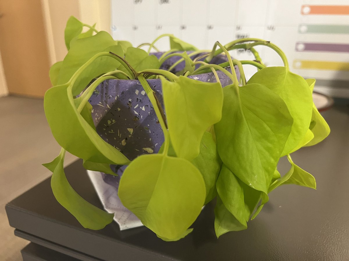 When you work in #Cardiology and all the plants have been fluid restricted!