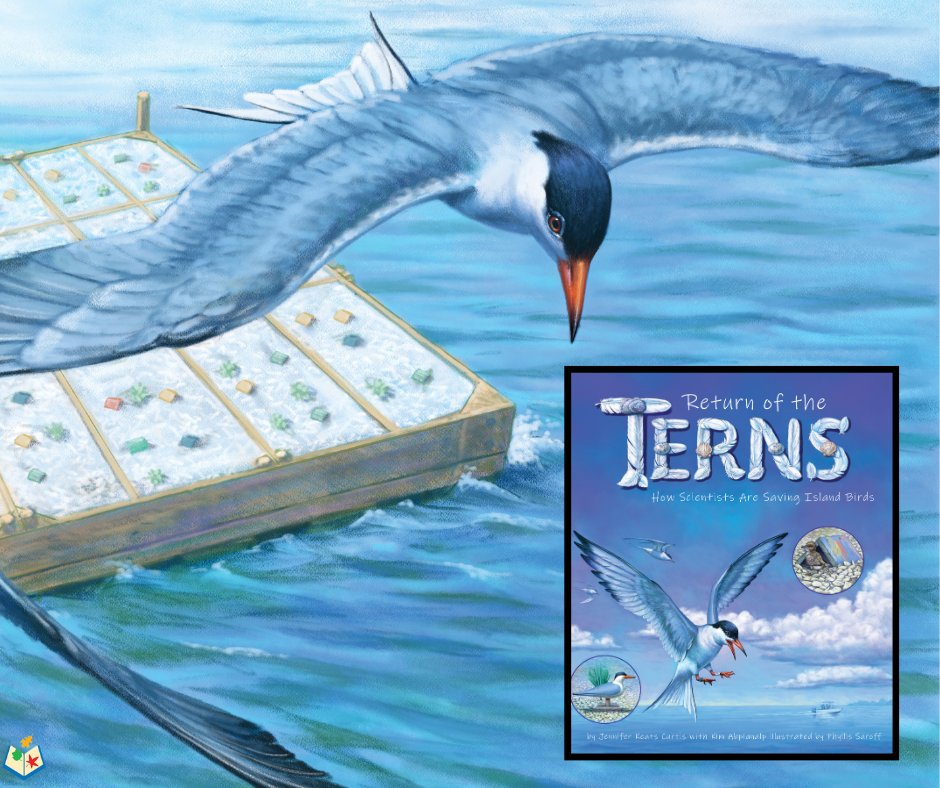 ArbordaleKids (@arbordalekids) on Twitter photo "A fascinating book with fun, photo-based games (learning activities) appended.” —Booklist
Return of the Terns: How Scientists Are Saving Island Birds will be available 2/11/2025! Preorder now! bit.ly/4fRVKMM
<a href="/ala/">Mohammed Abdullah</a>-booklist.bsky.social "A fascinating book with fun, photo-based games (learning activities) appended.” —Booklist
Return of the Terns: How Scientists Are Saving Island Birds will be available 2/11/2025! Preorder now! bit.ly/4fRVKMM
<a href="/ala/">Mohammed Abdullah</a>-booklist.bsky.social