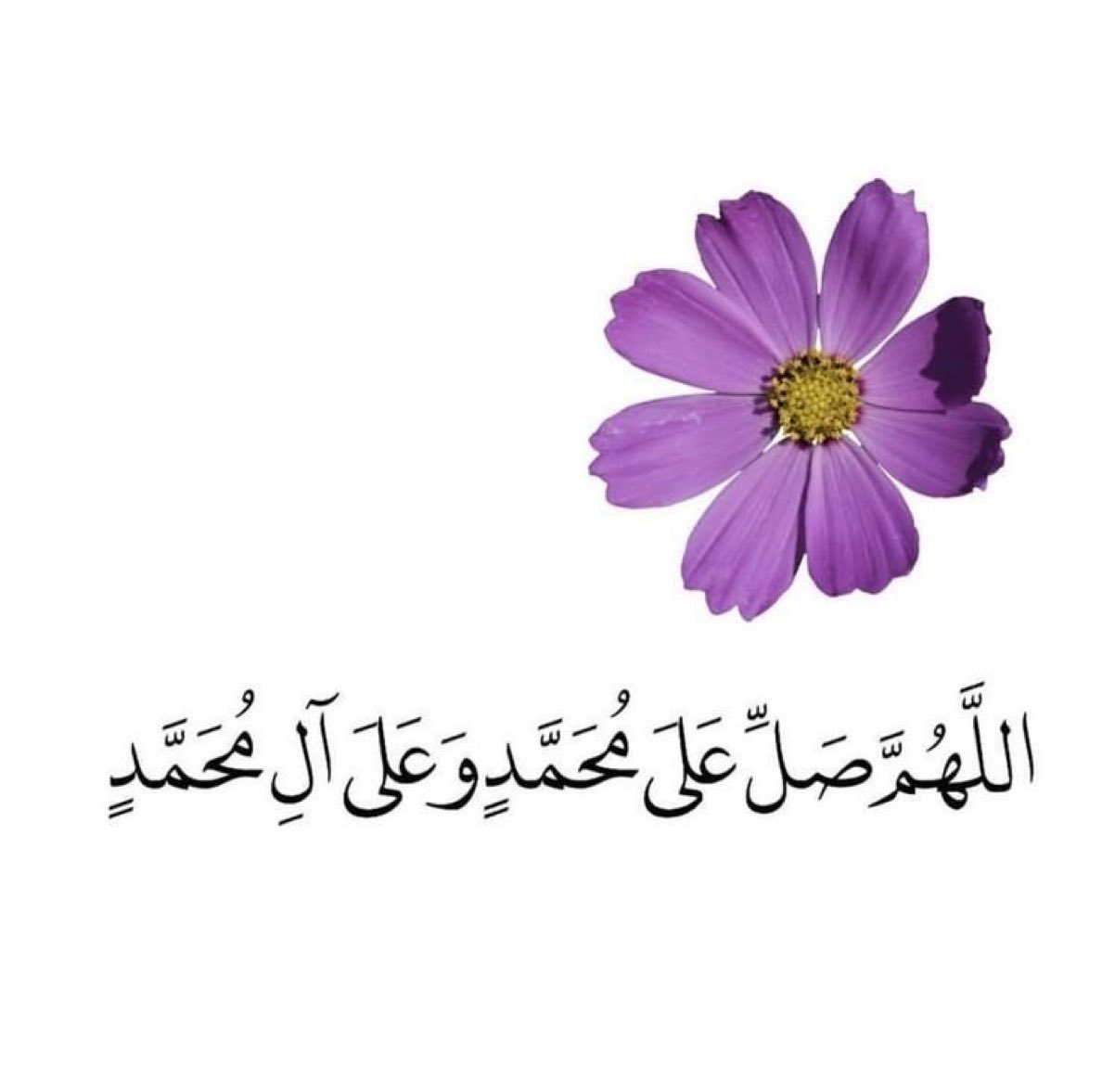 صلی اللہ علیہ وآلہ وسلّم💚