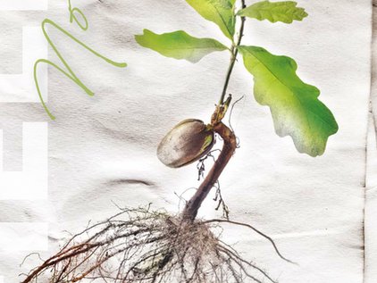 Le dernier numéro (N° 7) du magazine scientifique de la Fondation R. Geigy a offert une lucarne au Professeur <a href="/Inza2017/">Inza Koné</a> , premier primatologue africain. Retrouvez ci-dessous  l'intégralité de l'article :   lnkd.in/eKkw46w8