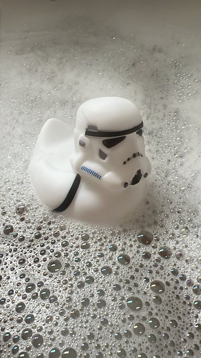 Okay I’m an adult… but hear me out 👀