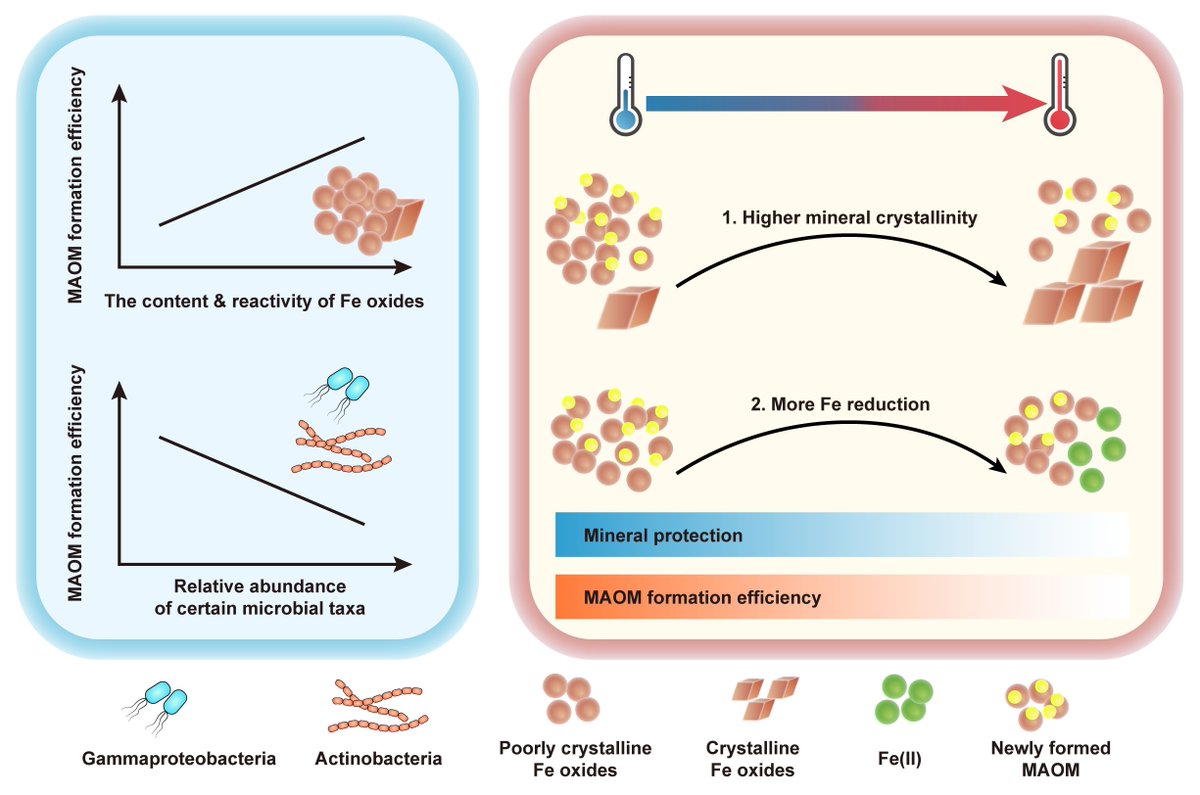 Global Change Biology tweet media