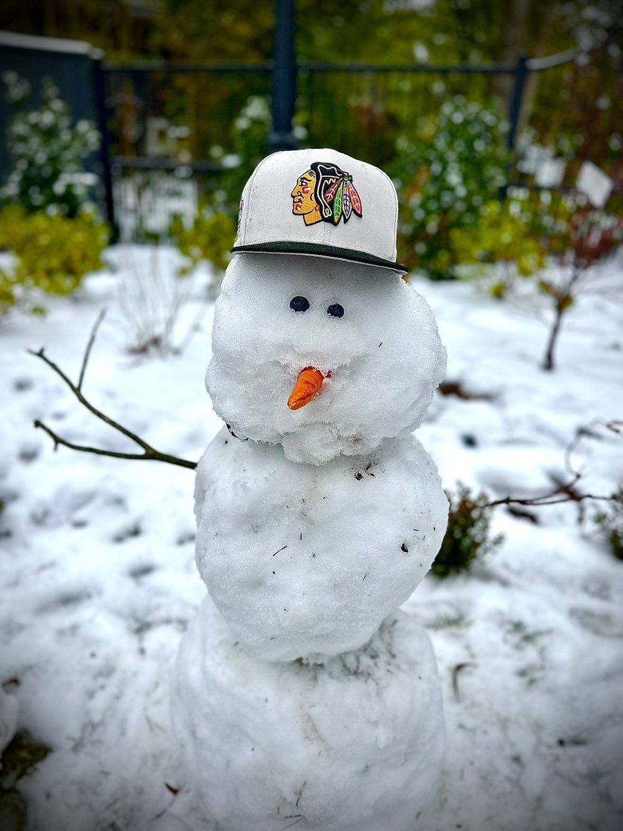 Well the <a href="/NHL/">NHL</a> #WinterClassic followed us back to BHM, AL for a rare snow day!  Go <a href="/NHLBlackhawks/">Chicago Blackhawks</a> !