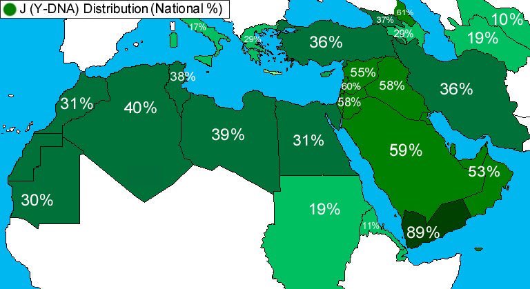 خارطة توضح أكثرية (J1 )اين يتمركز واتضح انه اليمن تليه السعودية 

#اليمن