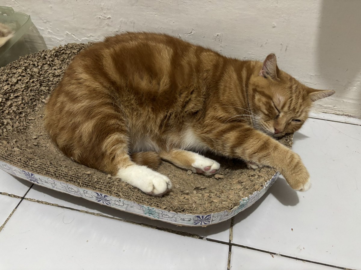 Naik kereta api zzz zzz zzzz siapa hendak turuuuuu😴😴😴