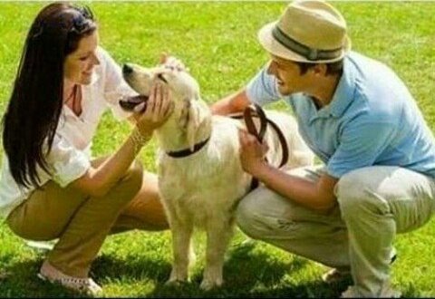 ElGolGarracol's tweet photo. - Que bonito Perro
- Se llama ONU
- ¿Puedo acariciarlo?
- Claro, no hace nada. https://t.co/36xTus7lBQ