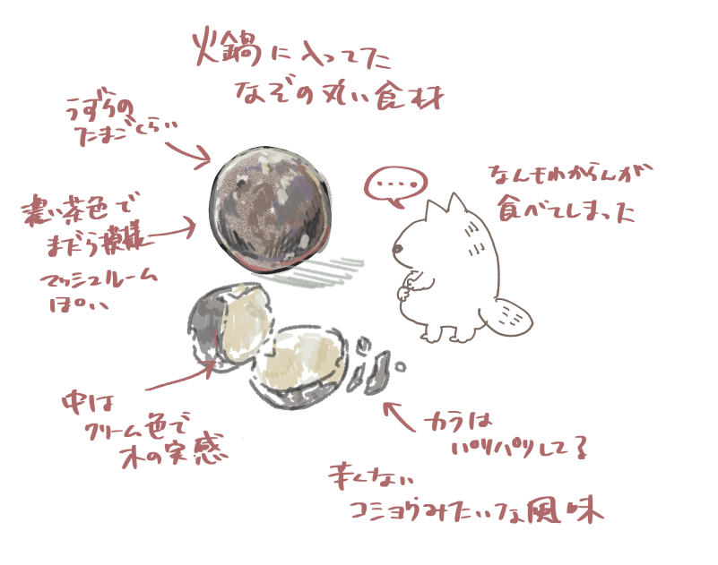 火鍋に入っていた謎の丸いもの 