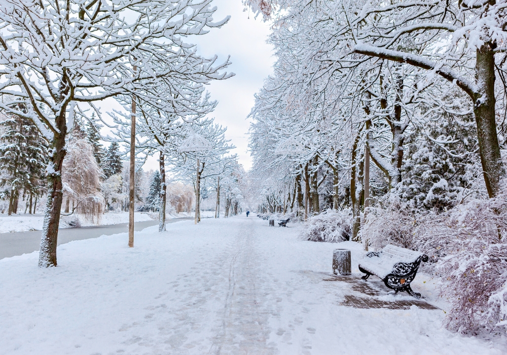 ❄️The lower temperatures we're experiencing lately may affect your body. Learn more about what cold weather does to the body and how to protect yourself this winter by reading the Hawthorne Pharmacy Blog. Read More » bit.ly/4adXHlI