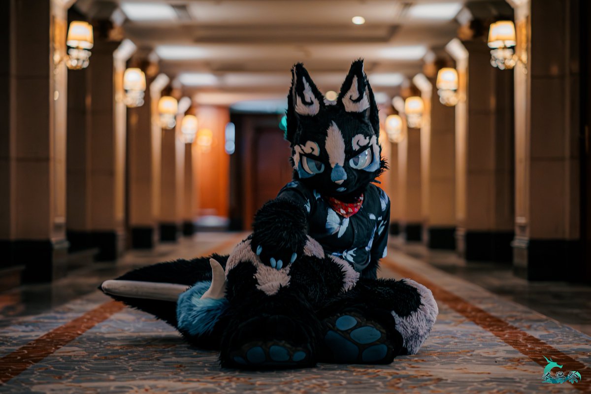 ＃FursuitFriday
------------------ 
每周壁纸（2/1）
------------------
<a href="/JadedSavior/">江兽</a> 
<a href="/MROSEclipse/">星效-Vulptex</a>