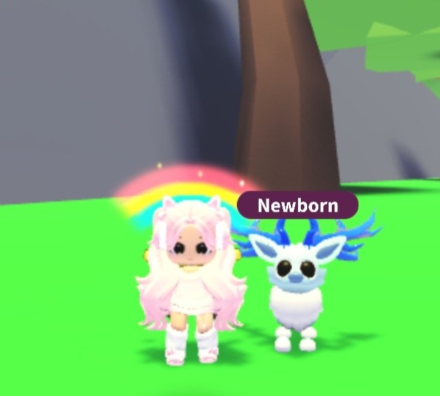 Bububear tweet media