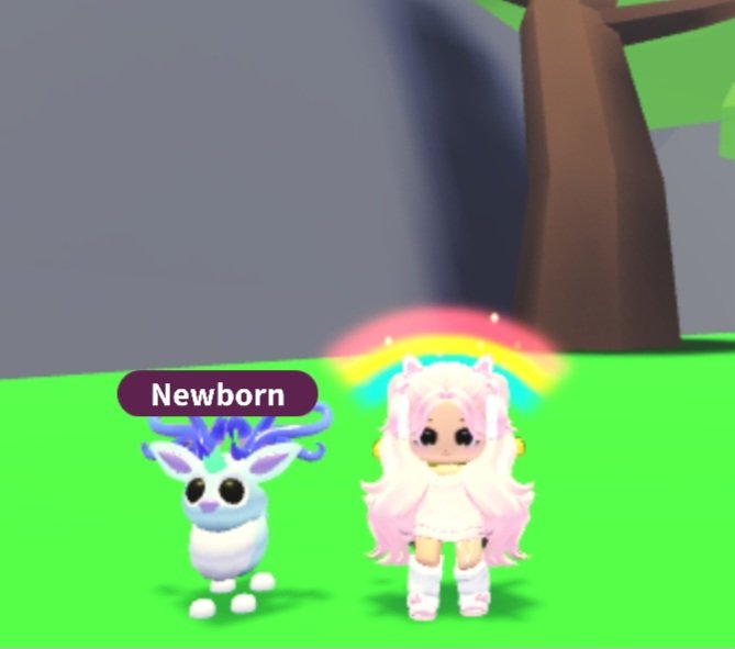 Bububear tweet media